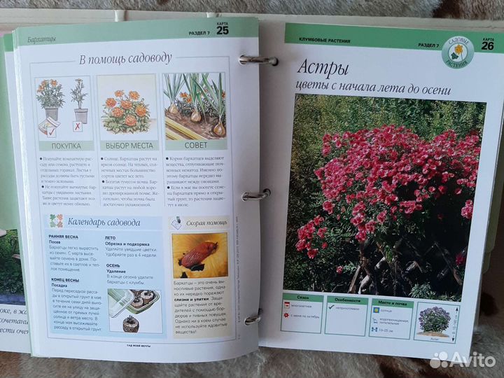 Энциклопедия сад моей мечты