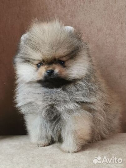 Микро мальчик