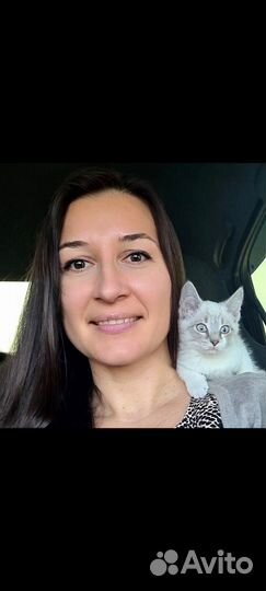 Уборка квартир, домов, офисов. Клининг