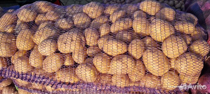 Картошка оптом краснодарский край