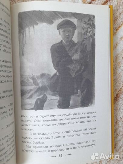 Мещерская сторона, паустовский