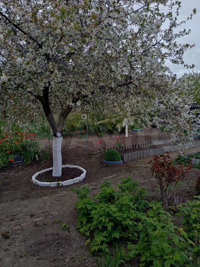 Дом 67 м² на участке 6,2 сот.