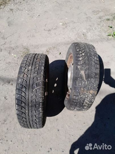 Gislaved Nord Frost 5 175/65 R14