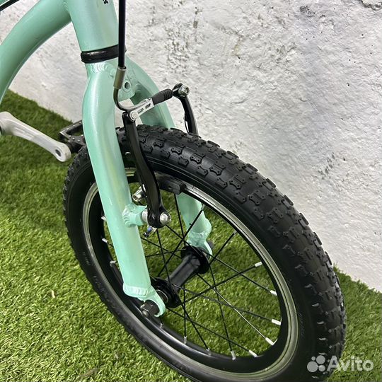 Bear bike kitiez 16