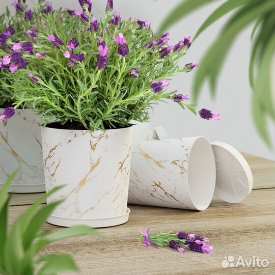 Продажа готового бизнеса - онлайн и маркетплейсы