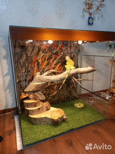 Террариумы для рептилий