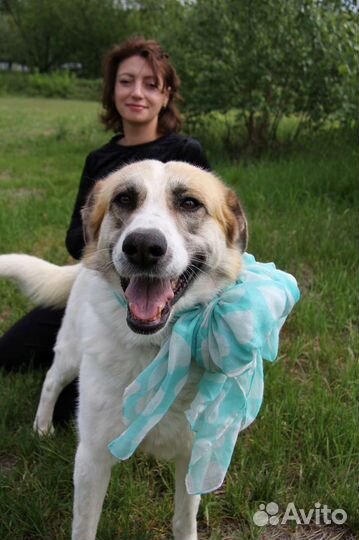 Горящее сердце светит