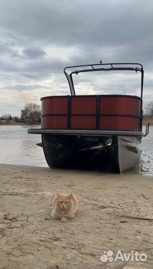 Катамаран моторный Pontoon 6.5