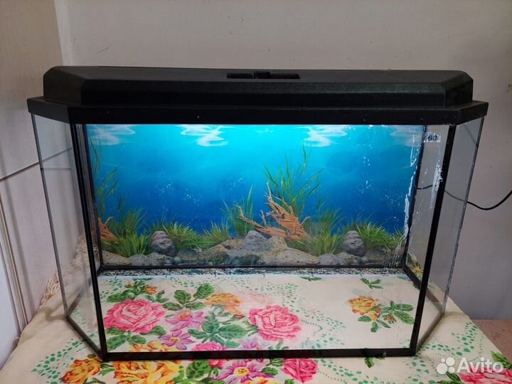 Аквариум