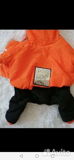 Вязаный комбинезон для чихуахуа