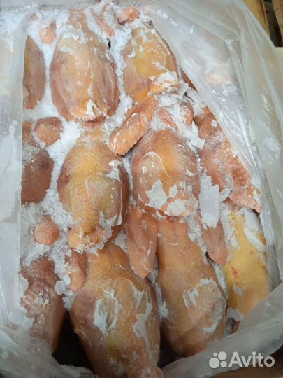 Тушки петухов замороженные