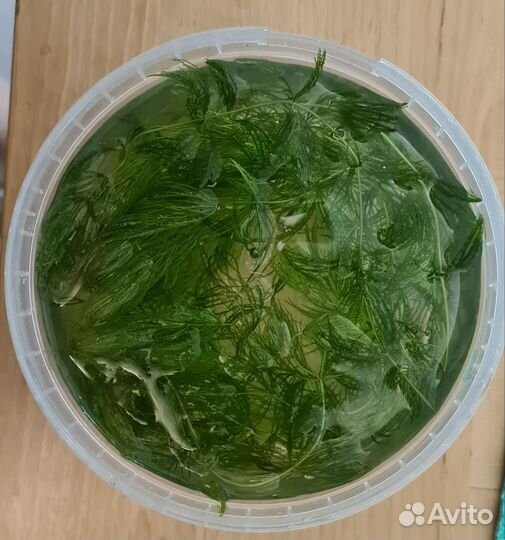 Украшение для аквариума