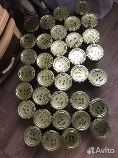 Грибы