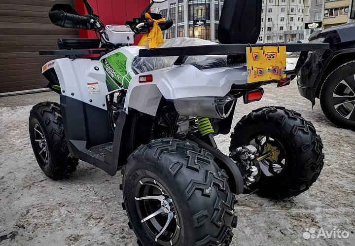 Квадроцикл promax wild 300 PRO 