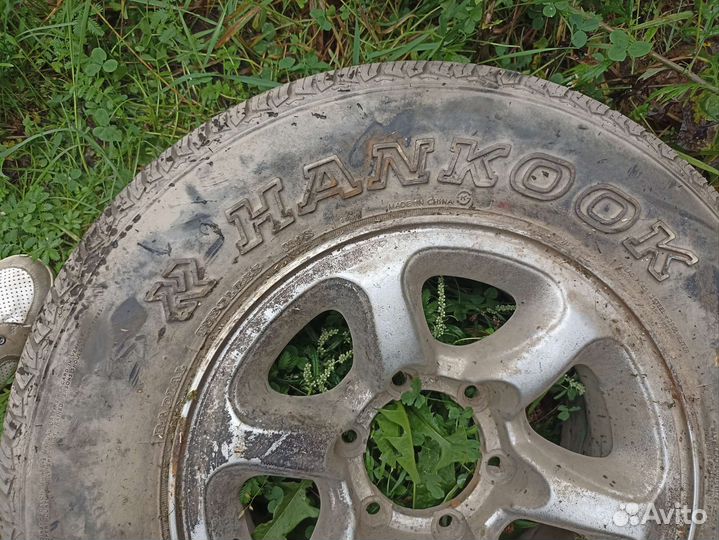 Запаска Грейт вол дир