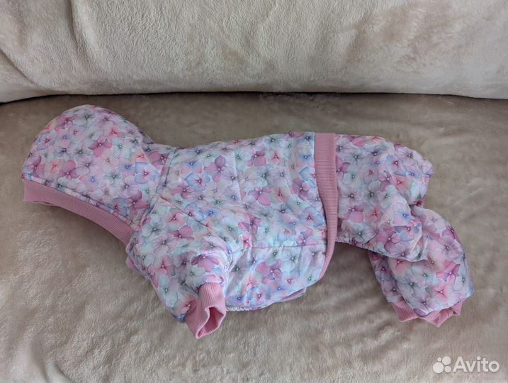 Одежда для собак