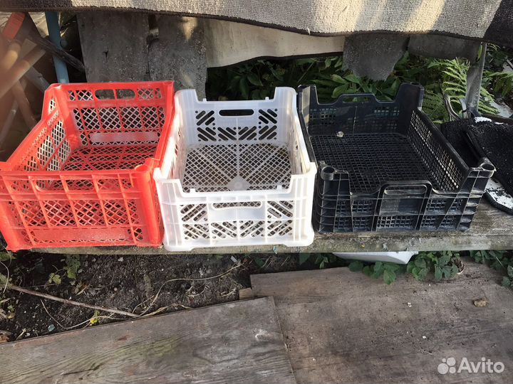 Ящик пластиковый для фруктов и овощей