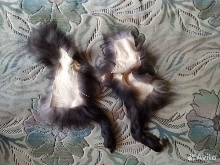 Шкурки серебристой чернобурки (выделанные)