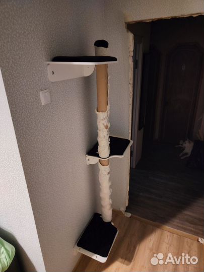 Игровой настенный комплекс для кошек