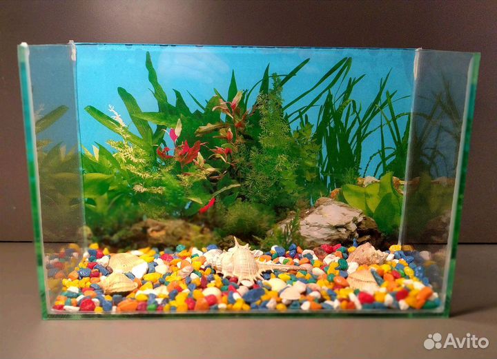 Аквариум новый