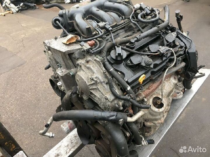 Двигатель VQ25DE Nissan Teana J32 J32