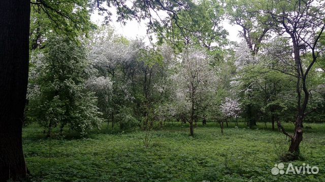 Собеседник, слушатель, ответы на вопросы