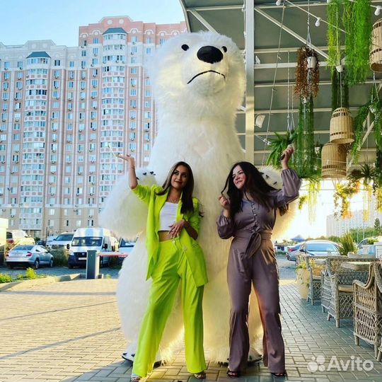 Белый Медведь, Аниматор Мишка, Панда