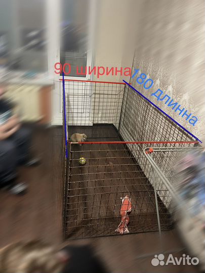 Вольер для собак