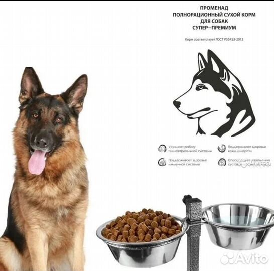 Корм для собак супер премиум класса Promenad