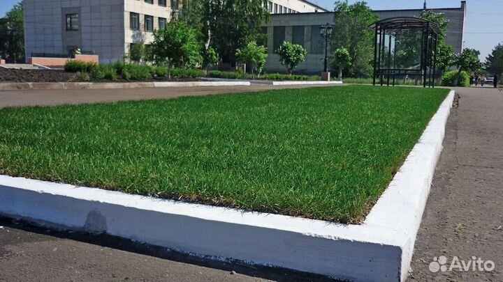 Газон рулонный 