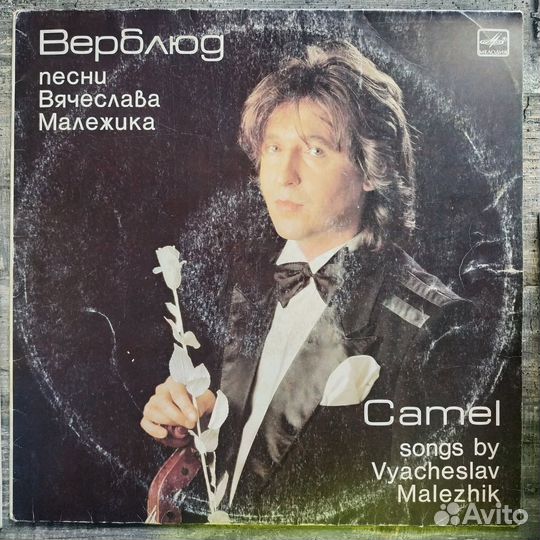 Вячеслав Малежик и Саквояж - Верблюд (1988)