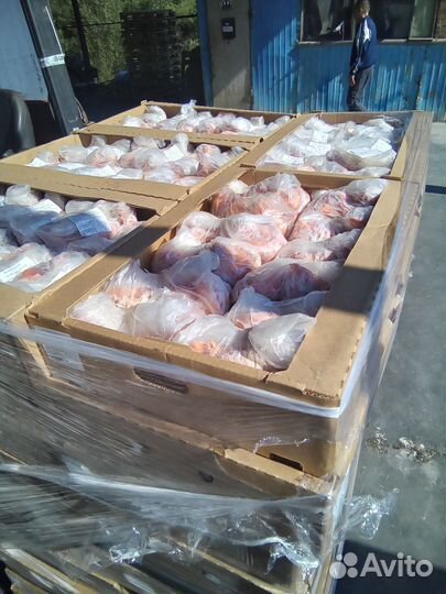 Куриные головы