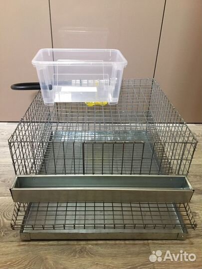 Перепела, перепелиные яйца, мясо