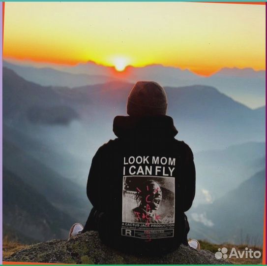 Худи Travis Scott Cactus Jack (Номер Artikle: 59091)