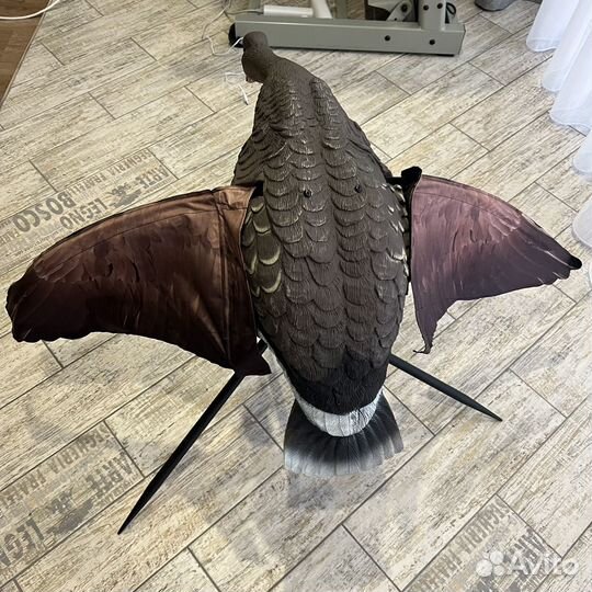 Чучело гуся Белолобый Lucky Duck (махокрыл)