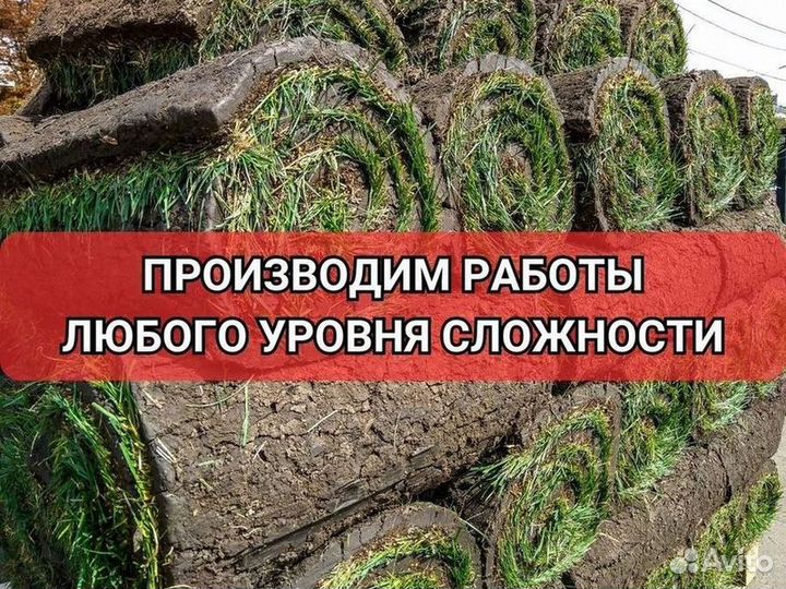 Укладка газона