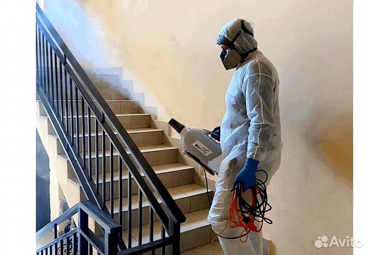 Уничтожение клопов тараканов грибка плесени