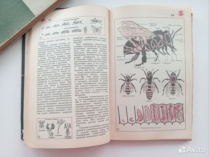 Биология справочные материалы
