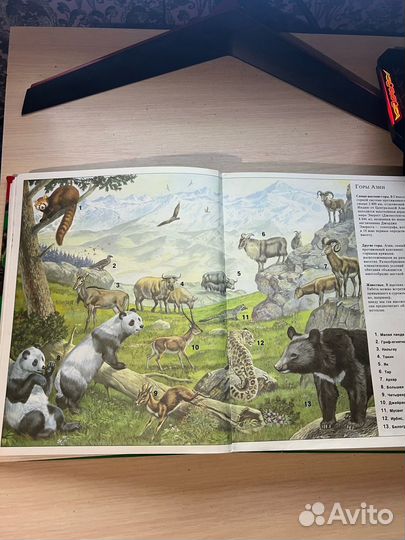 Большая Энциклопедия Животных