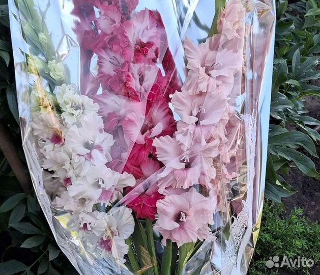 Букеты из гладиолусов