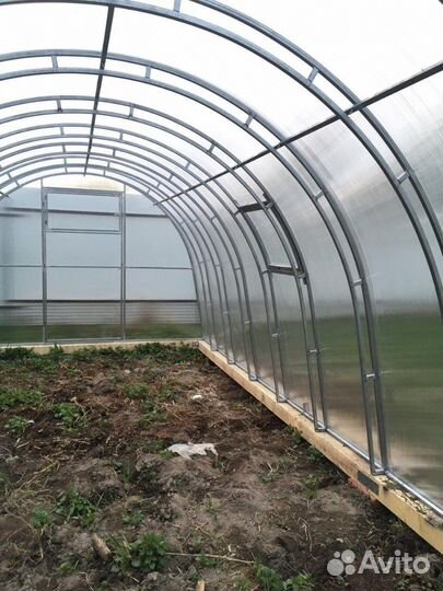 Теплица с двойными дугами усиленная