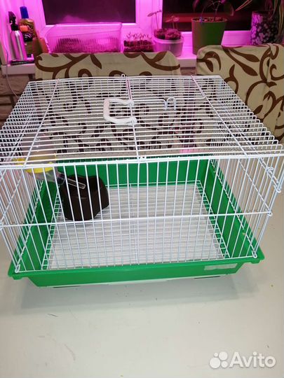 Клетка для грызунов