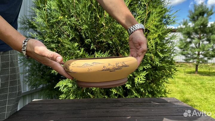 Плошка для бонсай