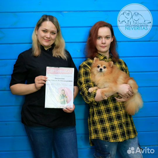 Груминг собак