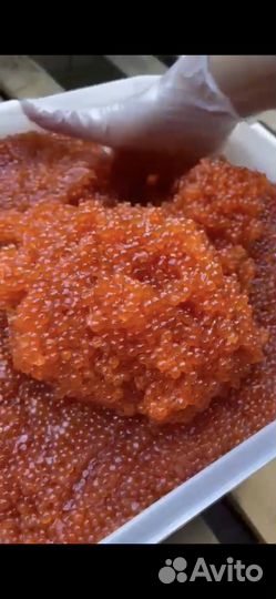 Икра красная