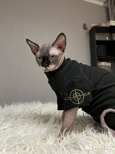 Кот сфинкс вязка