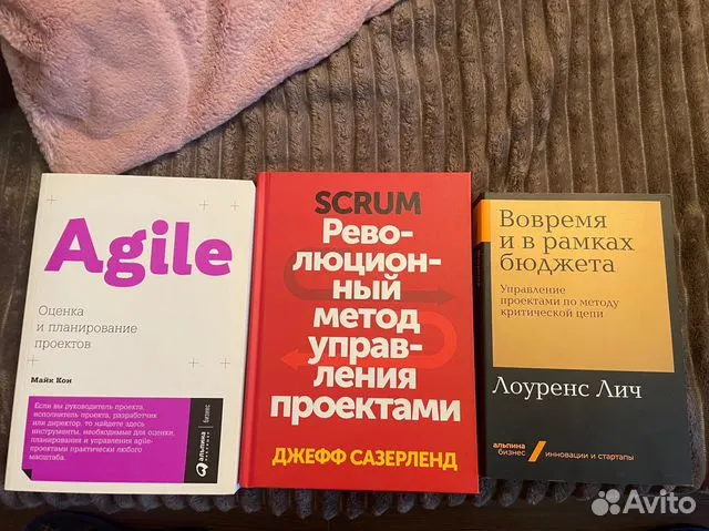 Agile оценка и планирование проектов майк кон Что читать летом: 10 книг для предпринимателей
