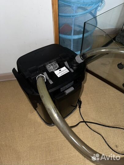 Красноухая черепаха с аквариумом