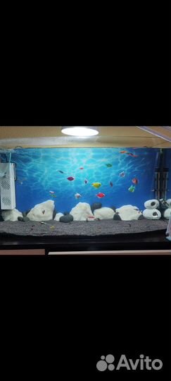 Аквариум
