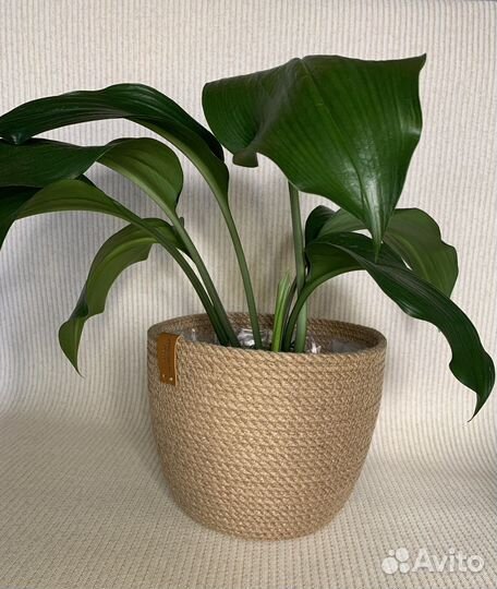 Кашпо для цветов